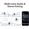 Audio Pro A10 MKII Wireless Multiroom Speaker, WiiM Edition | High Fidelity, Bluetooth, WiFi | Compatible with AirPlay 2, Google Cast, Siri, WiiM Home App, Stream Spotify, Tidal & More, Black(Dark Gray)