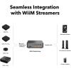 WiiM Vibelink Amp | 100W Power Amplifier with Premium ESS 9039Q2M DAC and TI TPA3255 | Compatible with WiiM Mini, Pro, Pro Plus, and Ultra | RCA, Coax, and Optical Inputs | Space Gray(Space Gray)