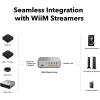 WiiM Vibelink Amp | 100W Power Amplifier with Premium ESS 9039Q2M DAC and TI TPA3255 | Compatible with WiiM Mini, Pro, Pro Plus, and Ultra | RCA, Coax, and Optical Inputs | Space Gray(Silver)