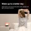 WiiM Wake-up Light, Alexa Built-in, Unlimited Sound Choices, All-in-One Sunrise Alarm Clock, Sound Machine, Sleep Routines and More – Polished Silver(Polished Silver)