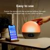 WiiM Wake-up Light, Alexa Built-in, Unlimited Sound Choices, All-in-One Sunrise Alarm Clock, Sound Machine, Sleep Routines and More – Polished Silver(Polished Silver)