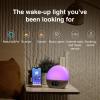 WiiM Wake-up Light, Alexa Built-in, Unlimited Sound Choices, All-in-One Sunrise Alarm Clock, Sound Machine, Sleep Routines and More – Polished Silver(Polished Silver)