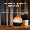 WiiM Wake-up Light, Alexa Built-in, Unlimited Sound Choices, All-in-One Sunrise Alarm Clock, Sound Machine, Sleep Routines and More – Polished Silver(Sea Blue Green)
