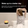 WiiM Wake-up Light, Alexa Built-in, Unlimited Sound Choices, All-in-One Sunrise Alarm Clock, Sound Machine, Sleep Routines and More – Polished Silver(Sea Blue Green)