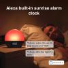 WiiM Wake-up Light, Alexa Built-in, Unlimited Sound Choices, All-in-One Sunrise Alarm Clock, Sound Machine, Sleep Routines and More – Polished Silver(Sea Blue Green)