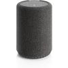 Audio Pro A10 MKII Wireless Multiroom Speaker, WiiM Edition | High Fidelity, Bluetooth, WiFi | Compatible with AirPlay 2, Google Cast, Siri, WiiM Home App, Stream Spotify, Tidal & More, Black(Dark Gray)